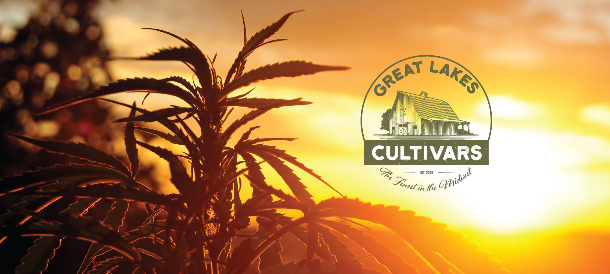 Great Lakes Cultivars